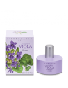 Parfum Accordo Viola - Violette 50 ml