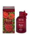 Parfum Rosa Purpurea - Rose Pourpre 100 ml